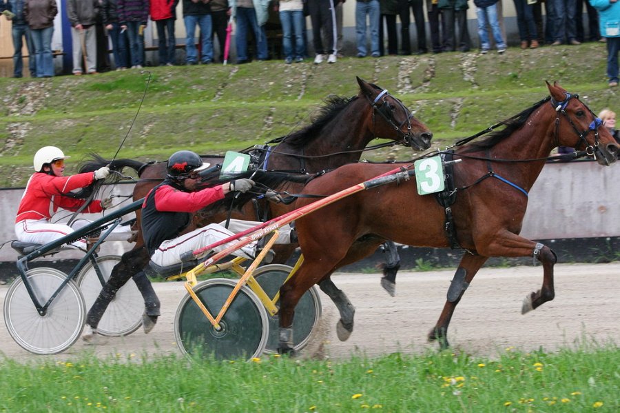 Mueldorf rennbahn 2019 41