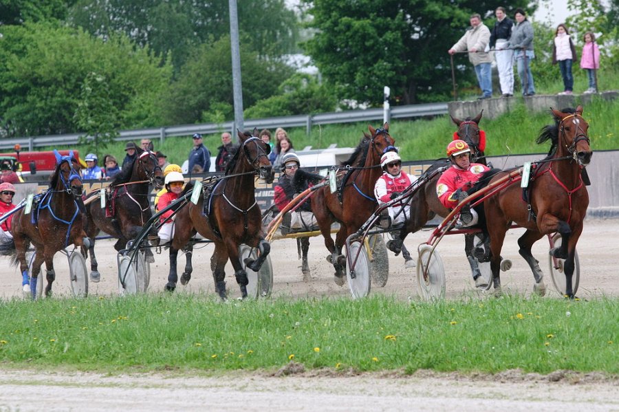 Mueldorf rennbahn 2019 43