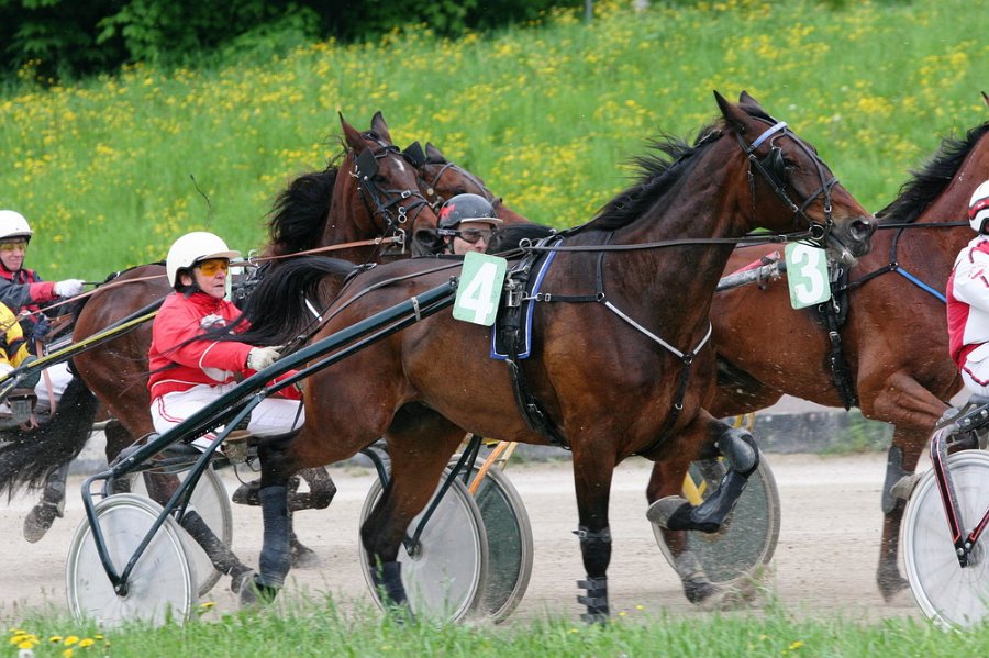 Mueldorf rennbahn 2019 44