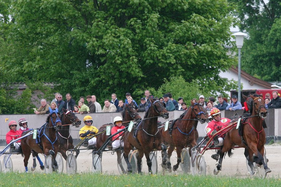 Mueldorf rennbahn 2019 45