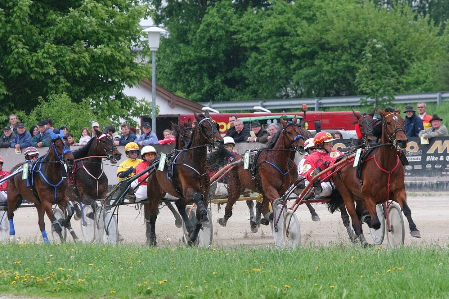Mueldorf rennbahn 2019 46