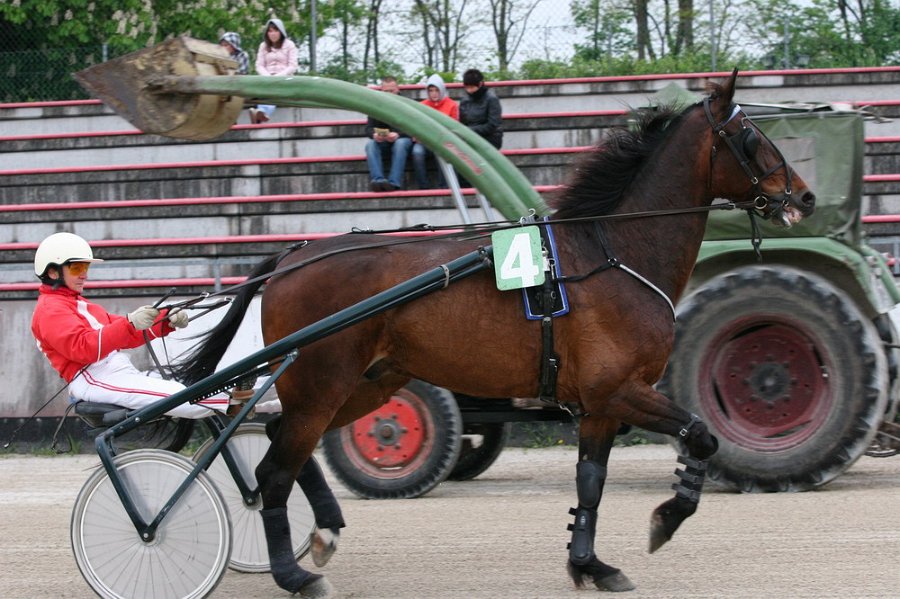 Mueldorf rennbahn 2019 50