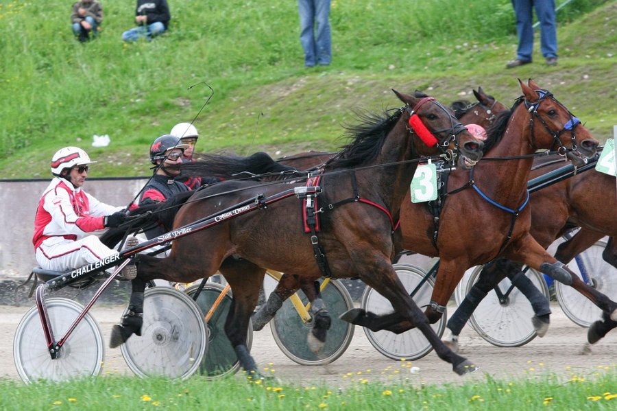 Mueldorf rennbahn 2019 52