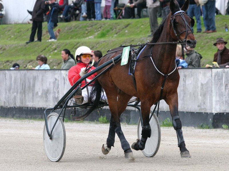 Mueldorf rennbahn 2019 54