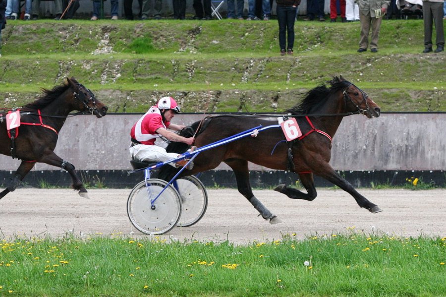 Mueldorf rennbahn 2019 55