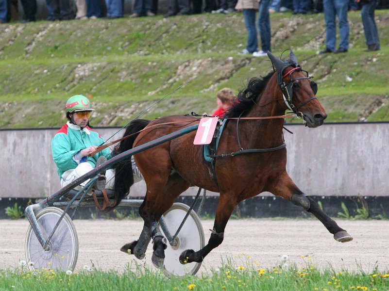 Mueldorf rennbahn 2019 59