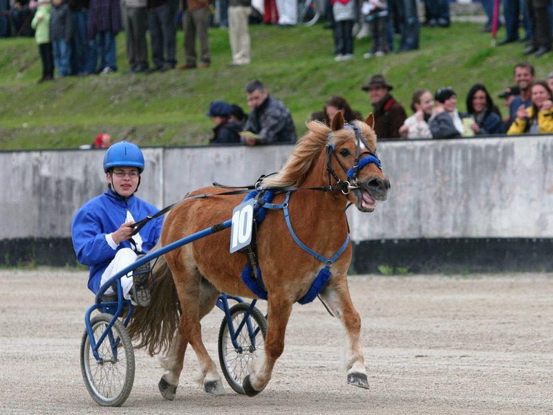 Mueldorf rennbahn 2019 61