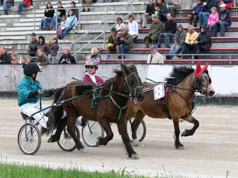 Mueldorf rennbahn 2019 64