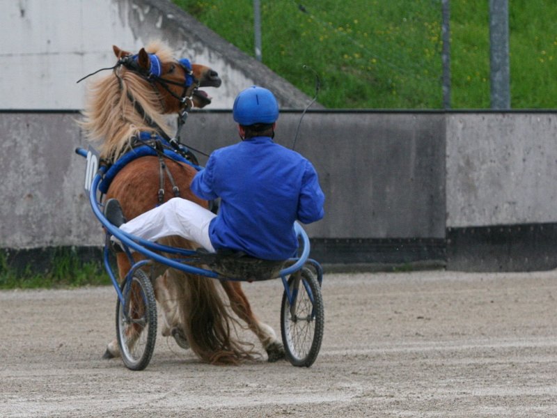 Mueldorf rennbahn 2019 67