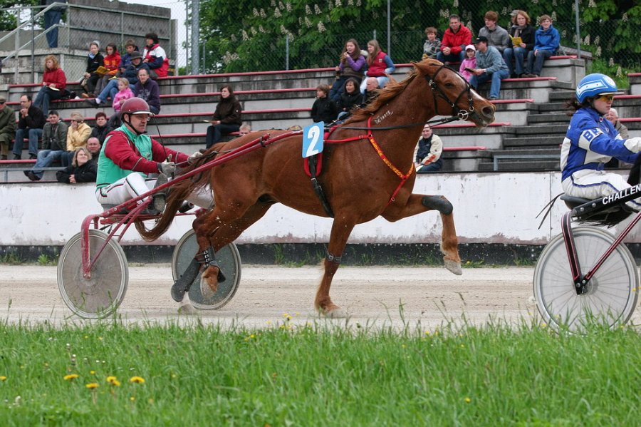 Mueldorf rennbahn 2019 71