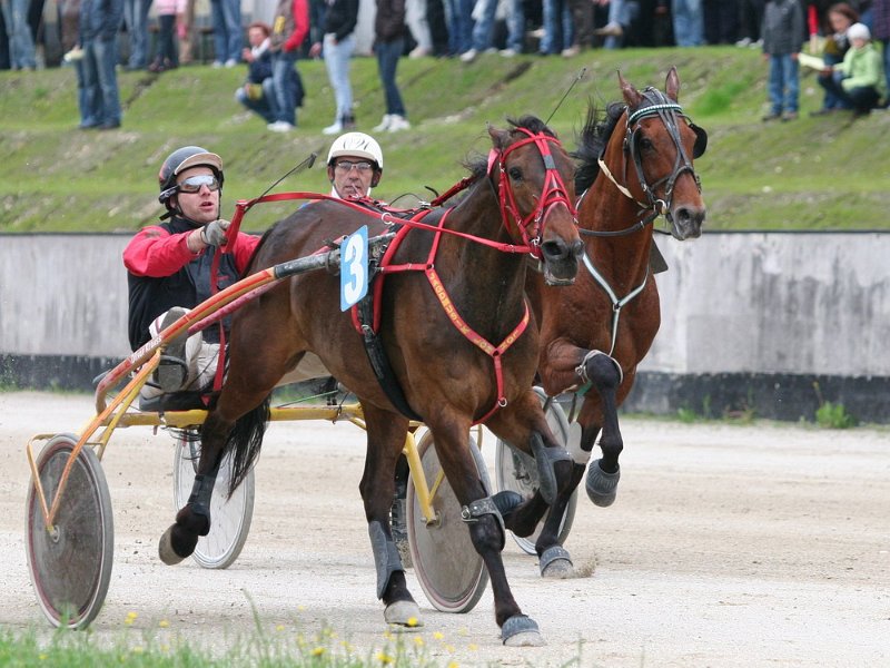 Mueldorf rennbahn 2019 73