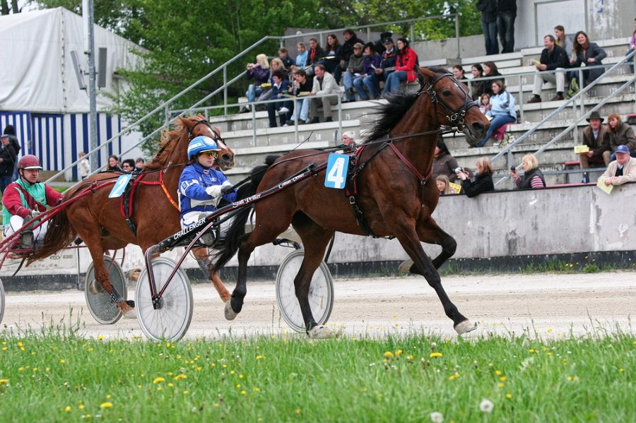 Mueldorf rennbahn 2019 75