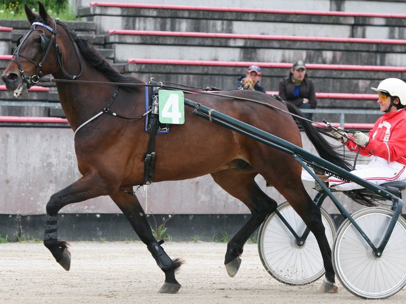 Mueldorf rennbahn 2019 76