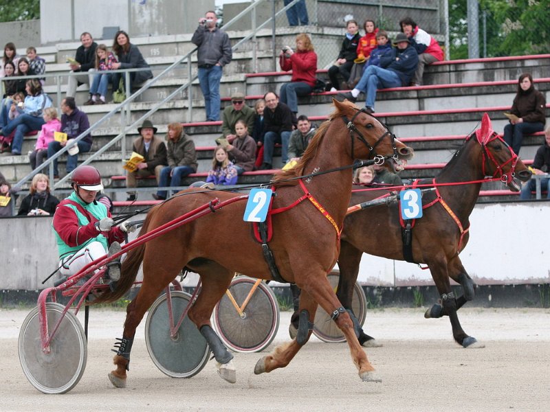 Mueldorf rennbahn 2019 77