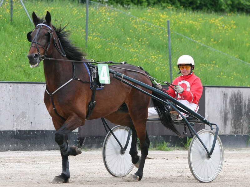 Mueldorf rennbahn 2019 78