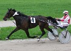 Mueldorf rennbahn 2019 03