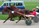 Mueldorf rennbahn 2019 09