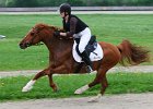 Mueldorf rennbahn 2019 22