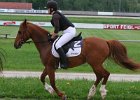 Mueldorf rennbahn 2019 25