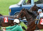 Mueldorf rennbahn 2019 31