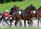 Mueldorf rennbahn 2019 44