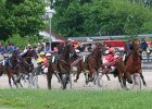 Mueldorf rennbahn 2019 46