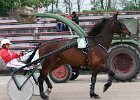 Mueldorf rennbahn 2019 50