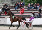 Mueldorf rennbahn 2019 62