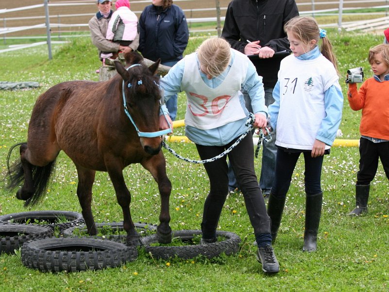 RC Engkofen 2010 102