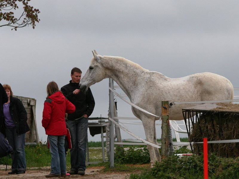 RC Engkofen 2010 117