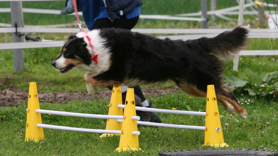RC Engkofen 2010 119