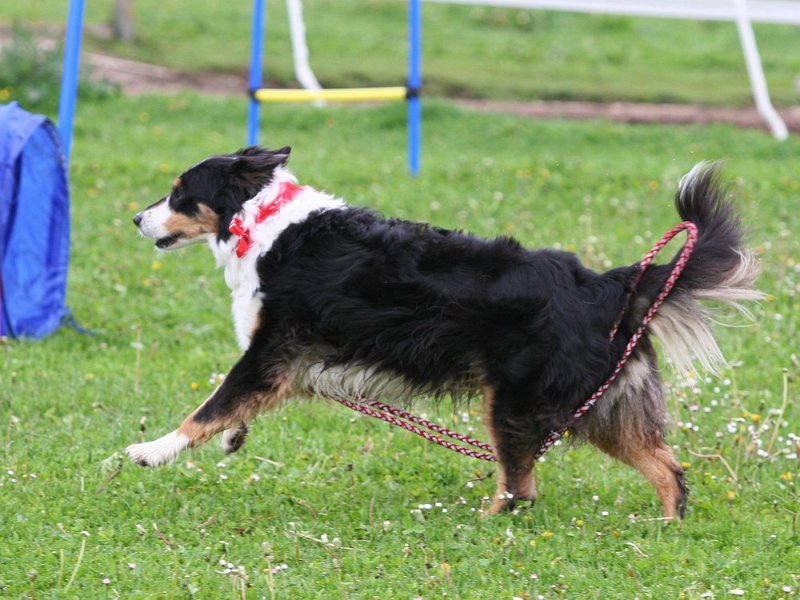 RC Engkofen 2010 121