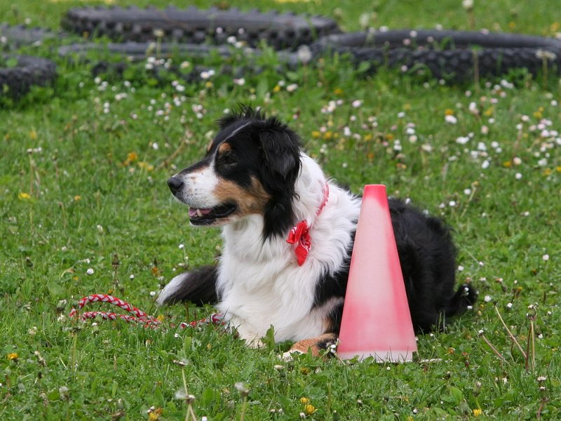 RC Engkofen 2010 123