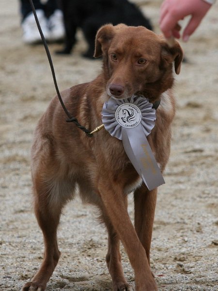 RC Engkofen 2010 17