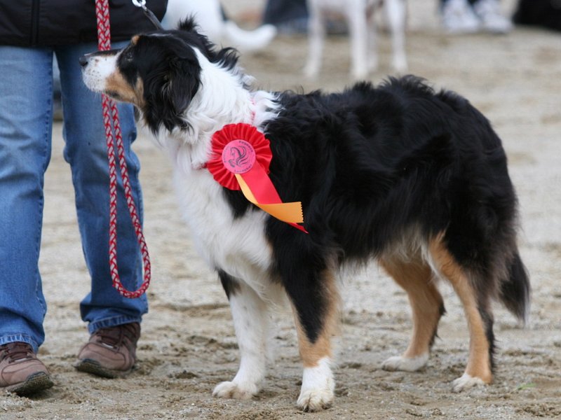 RC Engkofen 2010 21