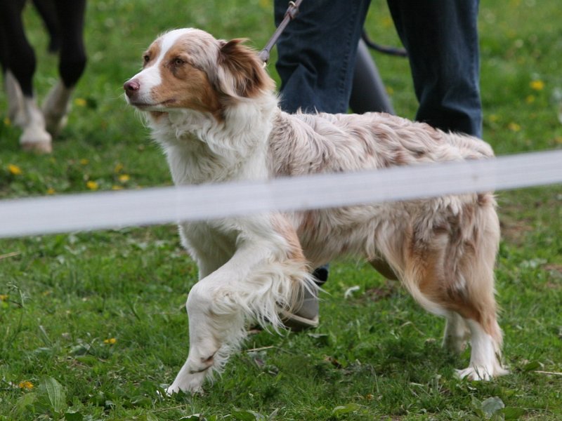 RC Engkofen 2010 32