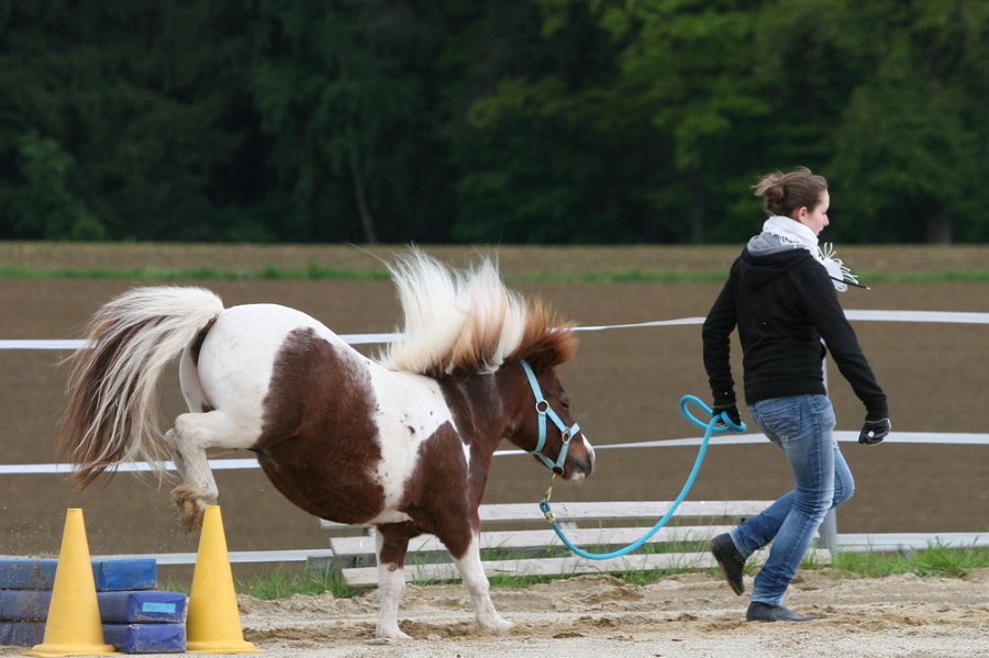 RC Engkofen 2010 36