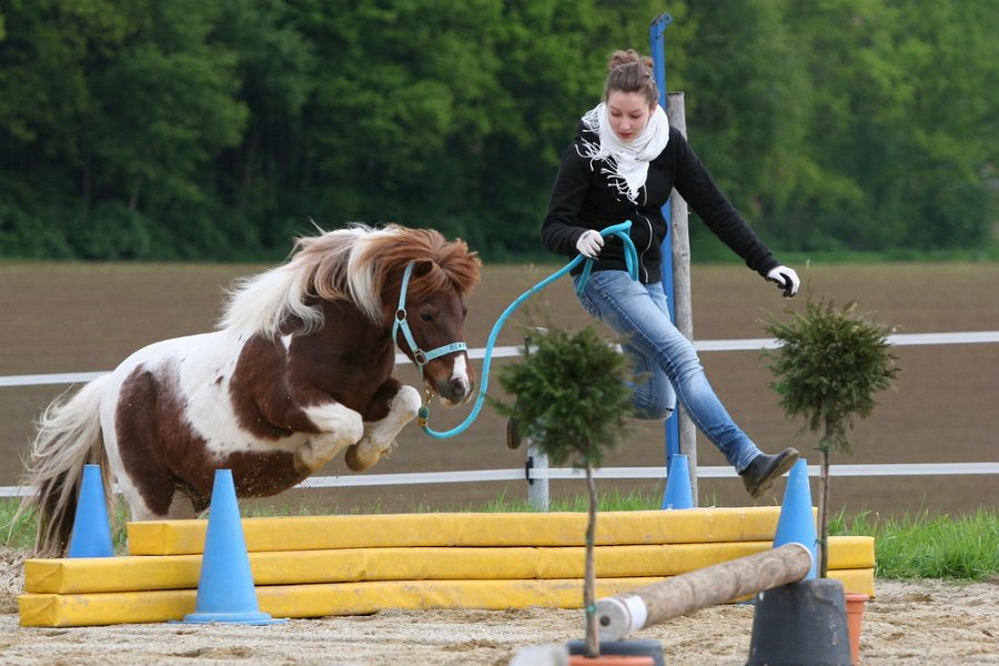 RC Engkofen 2010 37