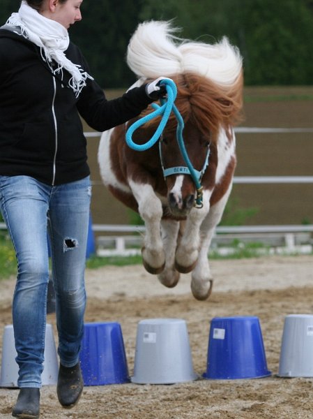 RC Engkofen 2010 38