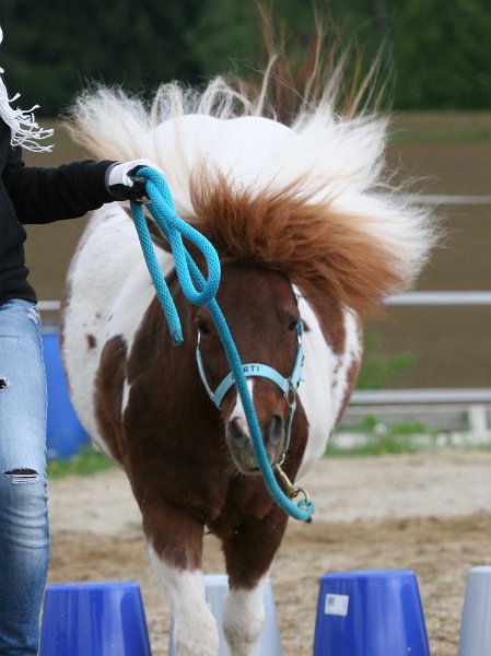 RC Engkofen 2010 39