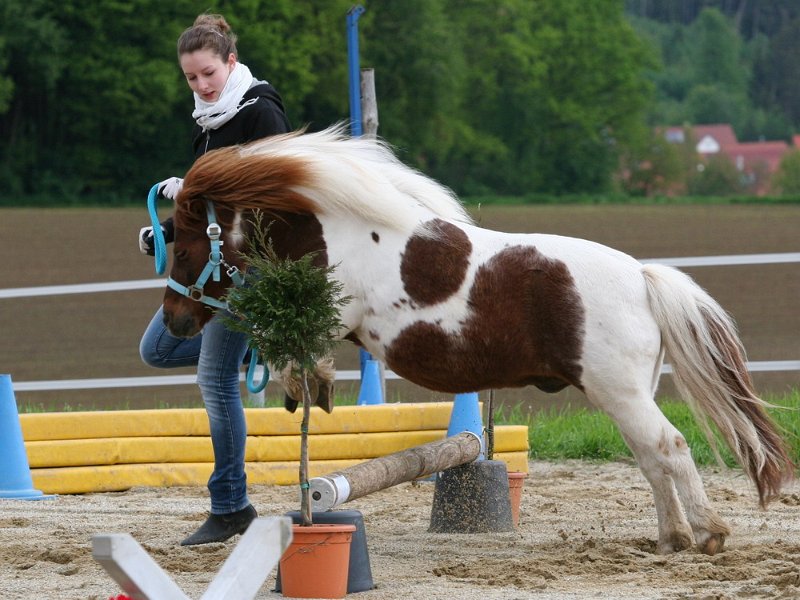 RC Engkofen 2010 40