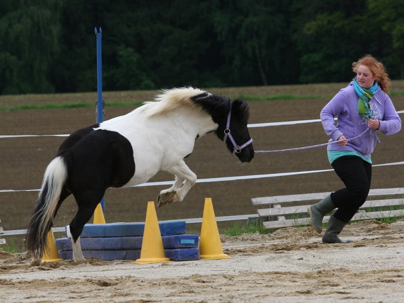 RC Engkofen 2010 47