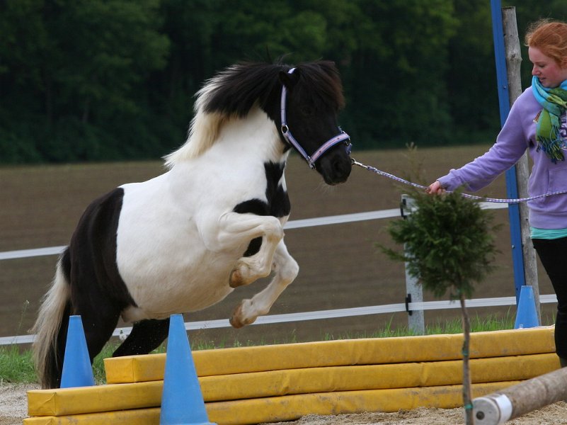 RC Engkofen 2010 48