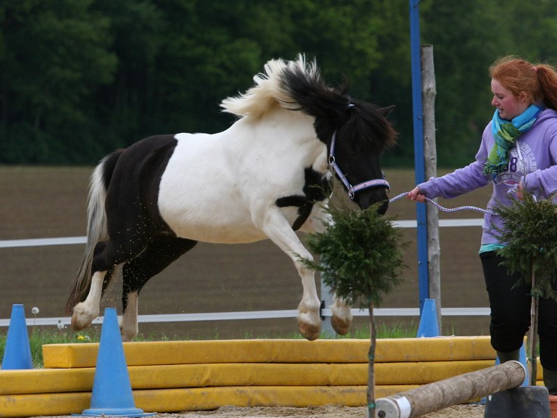 RC Engkofen 2010 49