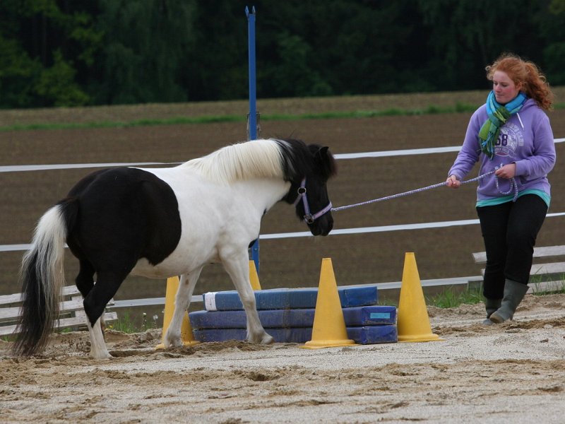 RC Engkofen 2010 51
