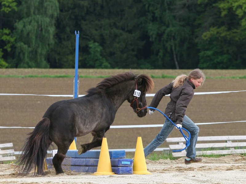 RC Engkofen 2010 57