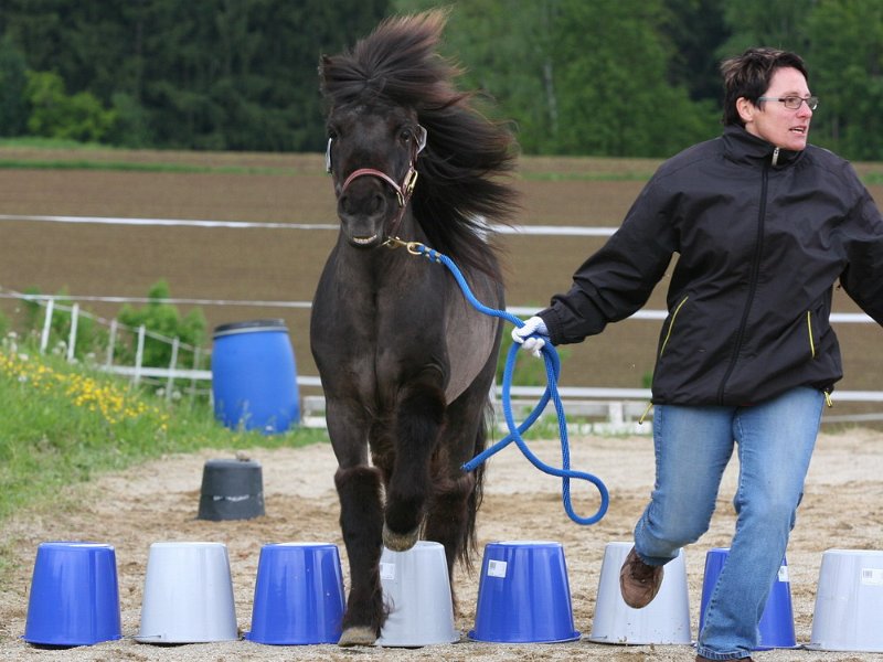 RC Engkofen 2010 60