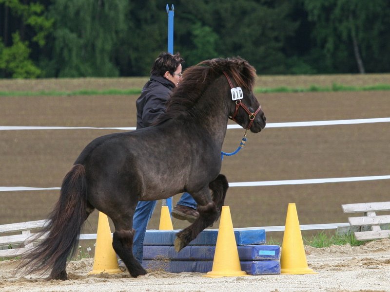 RC Engkofen 2010 61