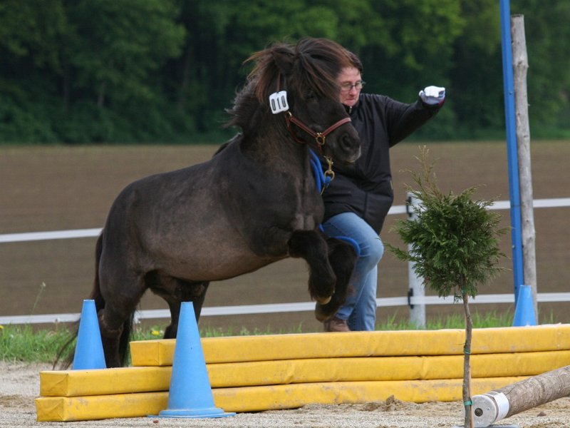 RC Engkofen 2010 62