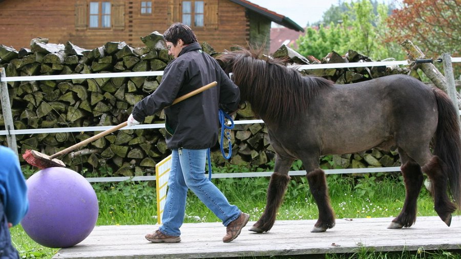 RC Engkofen 2010 66